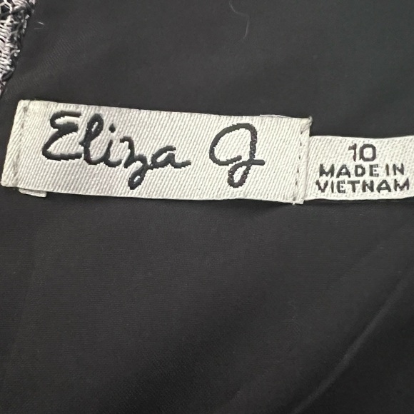 Eliza J Lace Fit and Flair Dress 10 - Picture 6 of 6